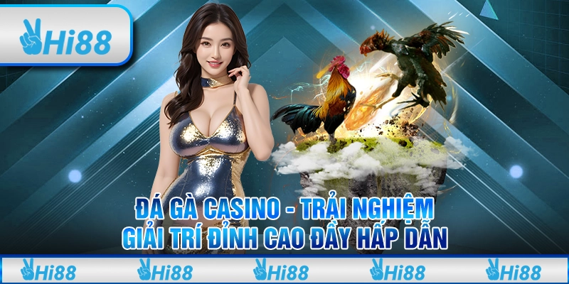 Đá gà casino - Trải nghiệm giải trí đỉnh cao đầy hấp dẫn