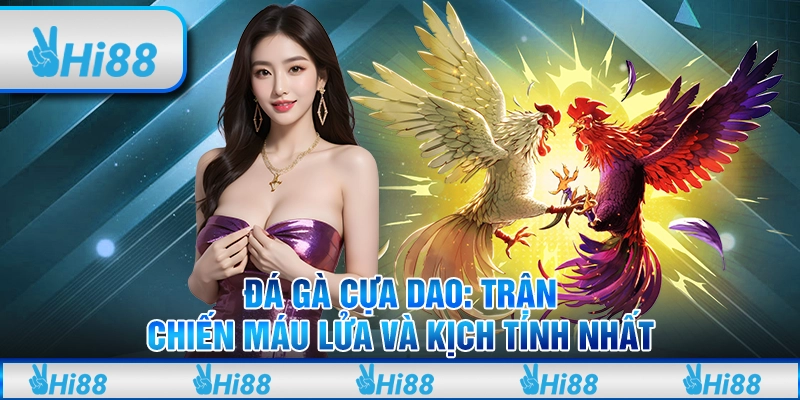 Đá gà cựa dao - Trận chiến máu lửa và kịch tính nhất