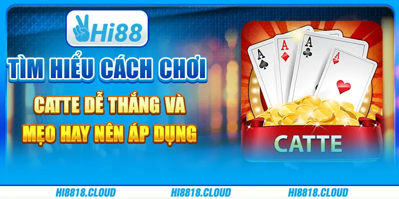 Tìm hiểu cách chơi catte dễ thắng và mẹo hay nên áp dụng