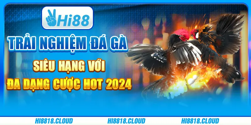 Trải nghiệm đá gà siêu hạng với đa dạng cược hot 2024