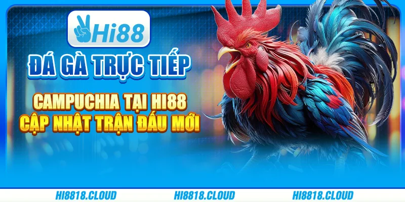 Đá gà trực tiếp Campuchia tại Hi88: Cập nhật trận đấu mới