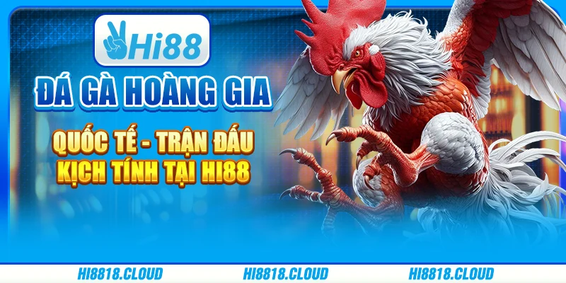 Đá Gà Hoàng Gia Quốc Tế - Trận Đấu Kịch Tính Tại Hi88