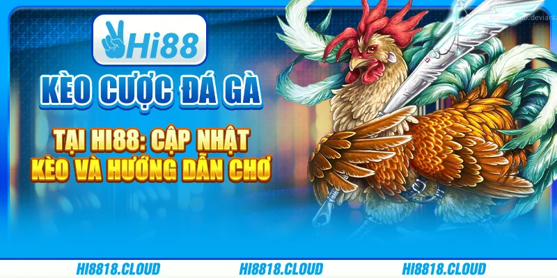 Kèo Cược Đá Gà Tại Hi88: Cập Nhật Kèo Và Hướng Dẫn Chơi