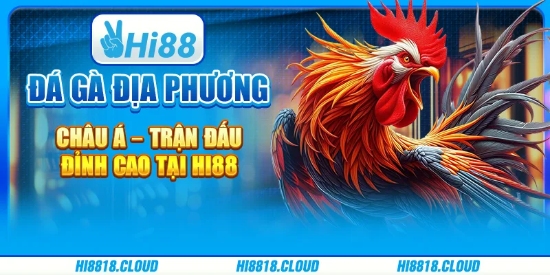 Đá Gà Địa Phương Châu Á – Trận Đấu Đỉnh Cao Tại Hi88