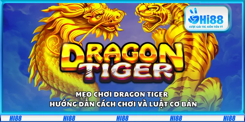 Mẹo chơi Dragon Tiger – Hướng dẫn cách chơi và luật cơ bản